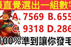 超准！快來測測11月你有多少財運！憑直覺選出一組數字！准到你發毛！