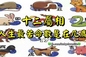 十二屬相人生最苦命數是在幾歲？