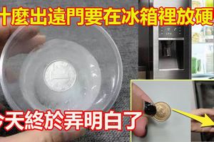 為什麼出遠門要在冰箱裡放硬幣？今天終於弄明白了