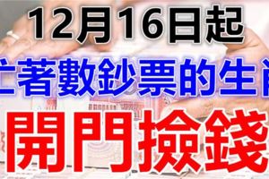 12月16日起，突然大發橫財，忙著數鈔票的生肖