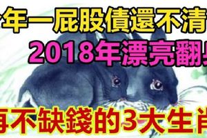 今年一屁股債還不清，2018年漂亮翻身、再不缺錢的3大生肖！