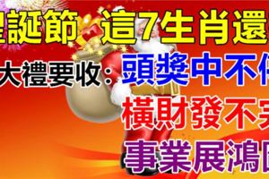 聖誕節7生肖還有三大禮要收！一禮頭獎中不停，二禮橫財發不完，三禮事業展鴻圖！