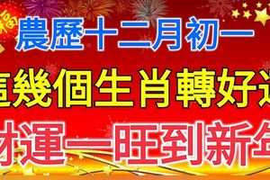 農歷十二月初一，這幾個生肖轉好運，財運一旺到新年！