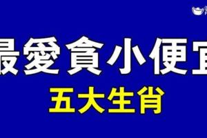 十二生肖中最愛貪小便宜的五大生肖，看看有沒有你