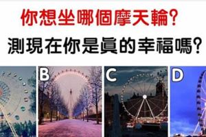 心理測試：你想坐哪個摩天輪？測你目前很幸福嗎？