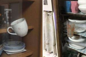 大阪網友地震後苦中作樂　PO「家裡奇蹟生還物品」照片引瘋傳