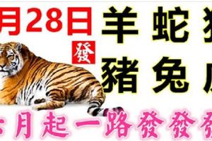 6月28日生肖運勢_羊、蛇、狗大吉