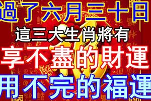 過了六月三十日，這三大生肖將有享不盡的財運用不完的福運