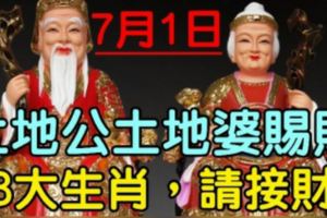 7月1日，土地公土地婆賜財，【8大生肖，請接財】