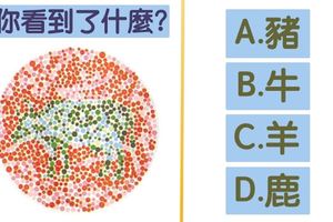 【色弱測試】你看到什麼？分析你人格！