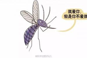 蚊子最愛O型血？　牠們的「6種習性」太強大：竟然知道你睡著了沒！