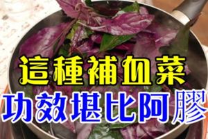 這種補血菜，功效堪比阿膠養氣補血助消化,大人小孩都能吃