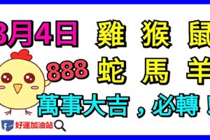 8月4日生肖運勢_雞、猴、鼠大吉