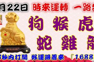 9月22日時來運轉一路發，狗猴虎蛇雞龍，88秒內打開好運跟著來『168882』