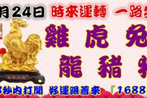 9月24日時來運轉一路發，雞虎兔龍豬猴，88秒內打開好運跟著來『16888』