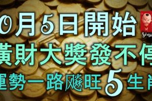 10月5日開始，橫財大獎發不停，運勢一路飈旺的5大生肖！