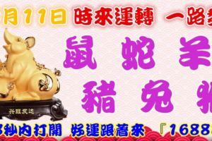 10月11日時來運轉一路發，鼠蛇羊豬兔猴，88秒內打開，好運跟著來『16888』