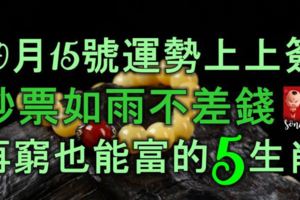 10月15號運勢上上簽，鈔票如雨不差錢，再窮也能富的5大生肖！