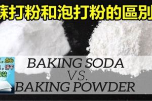 烘培小知識：蘇打粉BakingSoda和泡打粉BakingPowder的分別和用處~