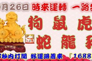 10月26日時來運轉一路發，狗鼠虎蛇龍豬，88秒內打開，好運跟著來『16888』