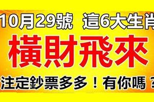 10月29號後，這6大生肖橫財飛來，鈔票多多，有你嗎？