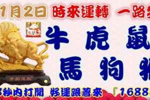 11月2日時來運轉一路發，牛虎鼠馬狗猴，88秒內打開，好運跟著來『16888』