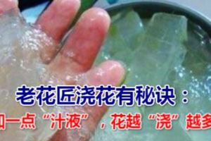 老花匠澆花有秘訣：加一點「汁液」，花越「澆」越多