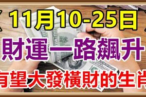 高人指路，11月10-25日財運一路飆升，有望大發橫財的6生肖