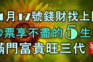 11月17號錢財找上門，鈔票享不盡的5生肖，滿門富貴旺三代！