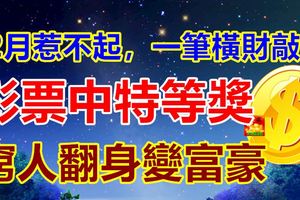 12月惹不起，一筆橫財敲門，彩票中特等獎，窮人翻身變富豪