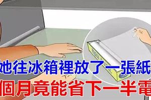 往冰箱裡放一張紙，每個月幫你省下一半電費，很多人都不知道，白白花了冤枉錢！