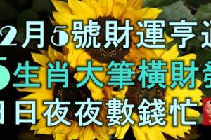 12月5號財運亨通，5生肖大筆橫財發，日日夜夜數錢忙！