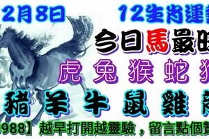 2018年12月8日，星期六農歷十一月初二（戊戌年甲子月甲戌日）