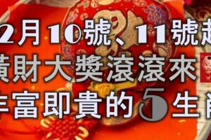 12月11號、12號起，橫財大獎滾滾來，非富即貴的5大生肖！