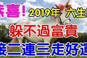 2019年躲不過富貴的六大生肖，接二連三走好運。