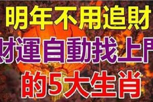 明年不用追財，「五大生肖」財運會自動找上門，有你嗎？