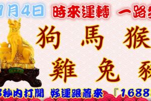 1月4日時來運轉一路發，狗馬猴雞兔豬，88秒內打開，好運跟著來『16888』