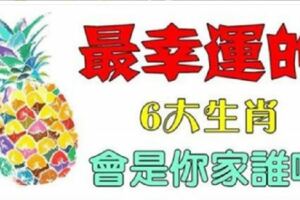 二零一九年最幸運的六大生肖