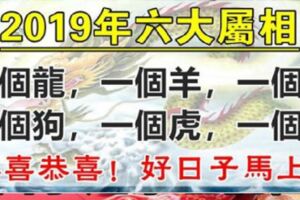 2019年六大屬相：龍，羊，雞，狗，虎，猴！恭喜恭喜！好日子馬上來