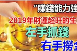 2019年「最能賺錢」的屬相，左手抓錢，右手撈金，富貴跑不了