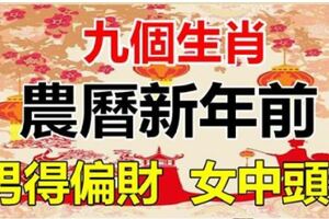 農曆新年前，九大生肖，男得偏財，女中頭獎