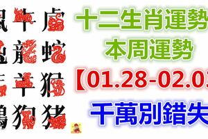 十二生肖運勢：本周運勢【01.28-02.03】千萬別錯失！