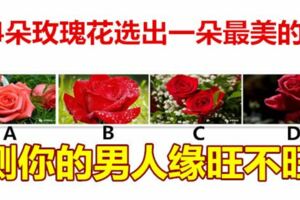 4朵玫瑰花選出一朵最美的，測你的男人緣旺不旺