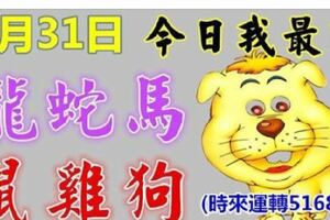 1月31日,十二屬相運氣(今日我最旺,時來運轉516888)