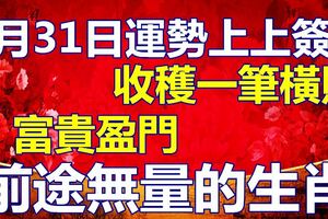 1月31日運勢上上簽，收穫一筆橫財，富貴盈門，前途無量的生肖