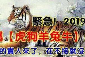 緊急！2019年，屬【虎狗羊兔牛】的人，你的貴人來了，在不接就沒了