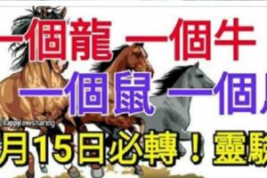 2月15日必轉：一個龍、一個牛、一個鼠、一個馬！