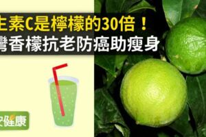 維生素C是檸檬的30倍！台灣香檬抗老防癌助瘦身