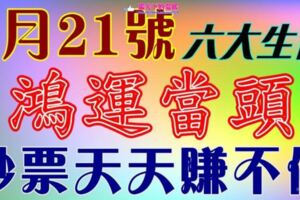 2月21號開始鴻運當頭，鈔票天天賺不停的生肖