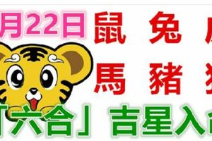 2月22日生肖運勢_馬、豬、狗大吉